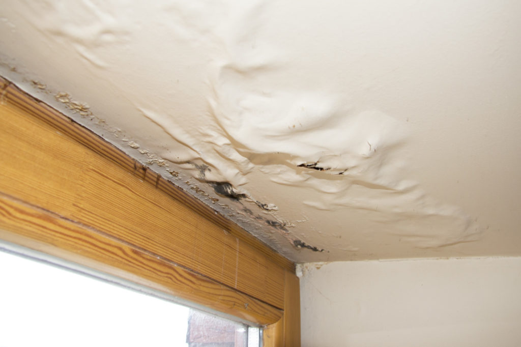 Water Damage and Restoration Companies